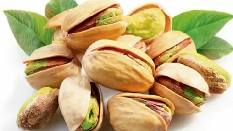 پسته اکبری خندان با دانه‌ های درشت و رنگ طبیعی